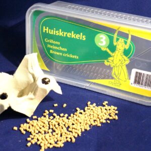 Huiskrekels Maat 3 Doosje