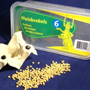 Huiskrekels Maat 6 Doosje