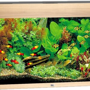 Rio 125 LED Lichtbruin