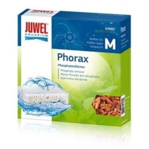 Juwel Phorax M.