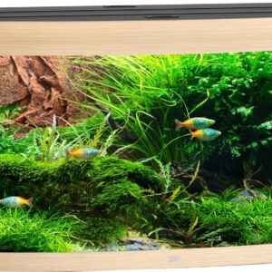 Vision 450 LED Lichtbruin