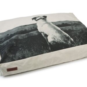 BZ LIGKUSSEN DUNE BGE 100X70X15 CM