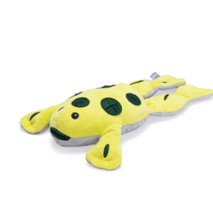 Beeztees Snuffel Speelgoed Kikker