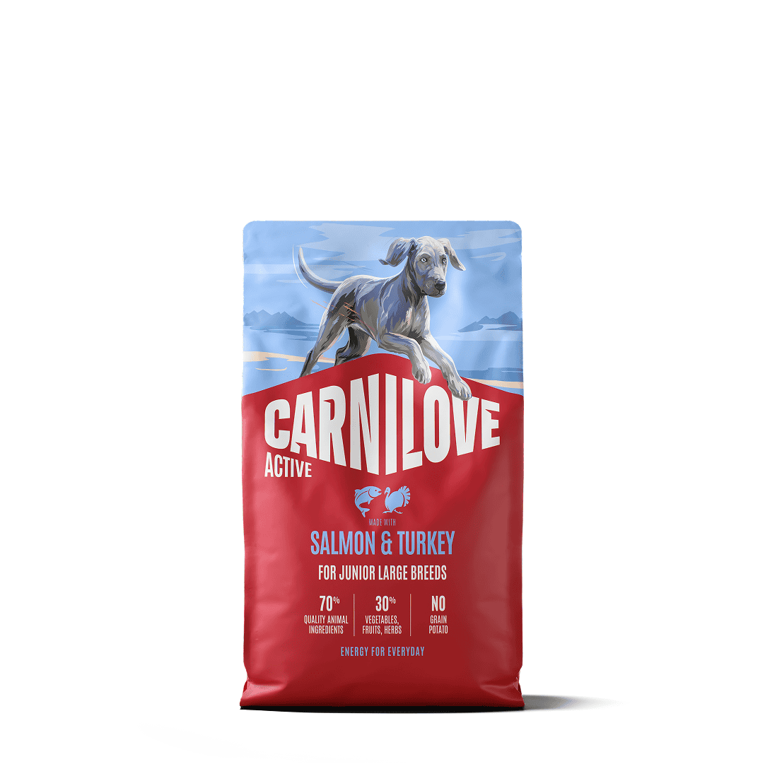 Carnilove Active Dog Salmon & Turkey Junior Large 1,5 kg.
